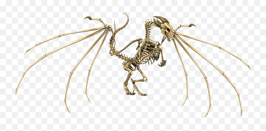 Dragon Skeleton Transparent Png - Stickpng Skeletal Dragon 5e Emoji,Skeleton Transparent