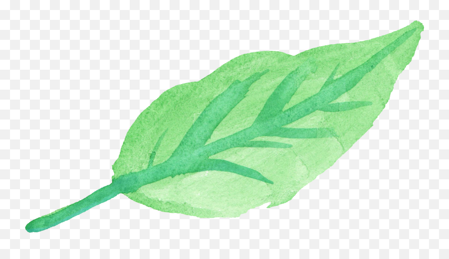 Download Watercolor Leaf 4 - Watercolor Green Leaf Png Transparent Background Watercolour Leaves Transparent Emoji,Green Leaves Png