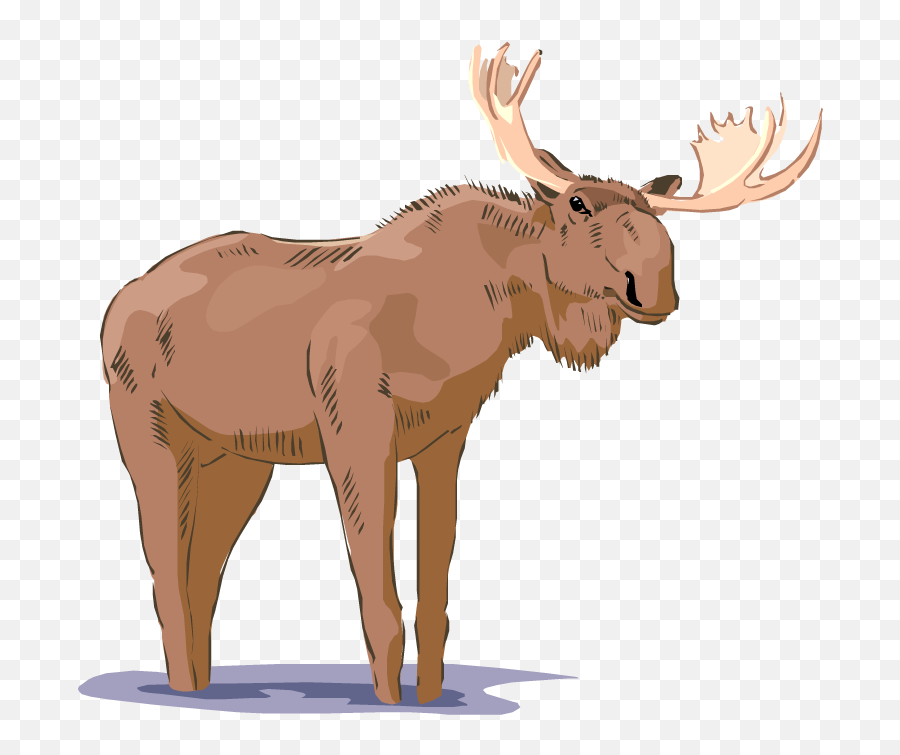 Free Moose Clipart 7 - Realistic Moose Clipart Emoji,Moose Clipart