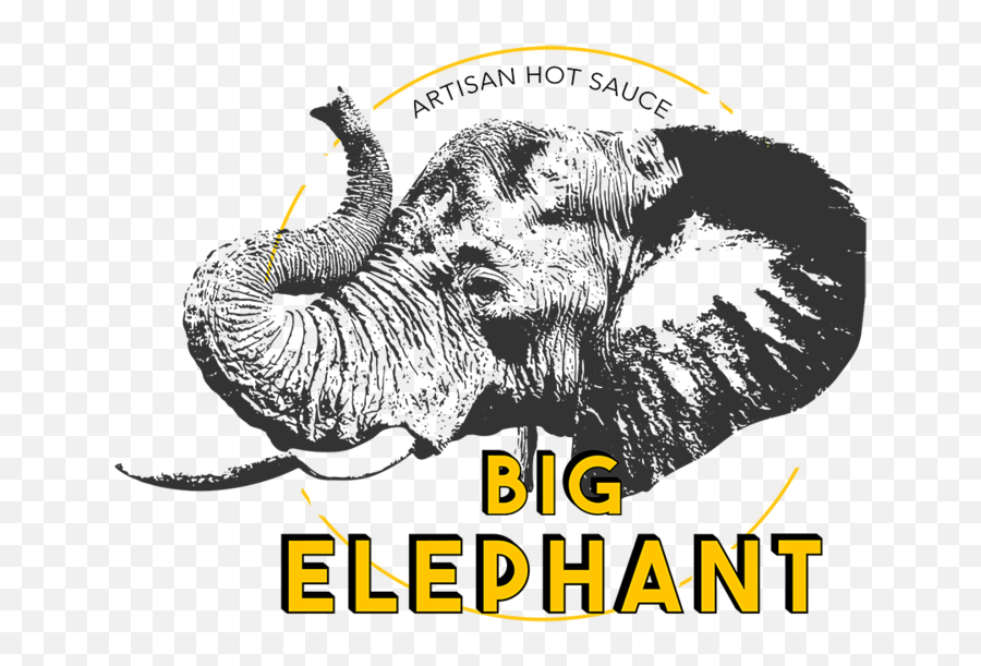 Big Elephant Megan Odonnell Design - Big Emoji,Elephant Logo