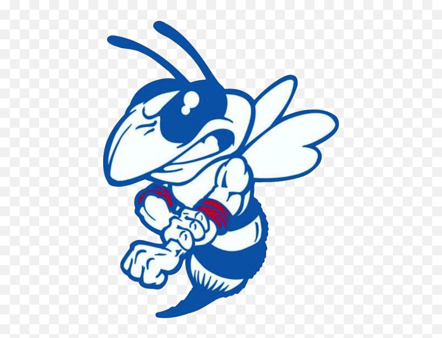 Nashville Community High School - Fictional Character Emoji,Hornets Logo