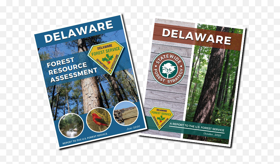 Forest Service - Delaware Department Of Agriculture State Emoji,Transparent Forest