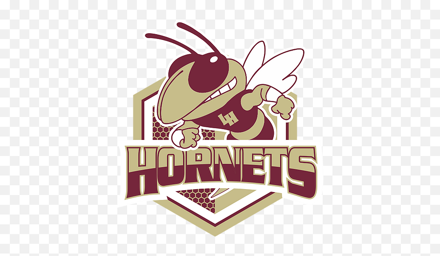 Lh Students 2019 - Georgia Tech Yellow Jackets Emoji,Hornets Logo