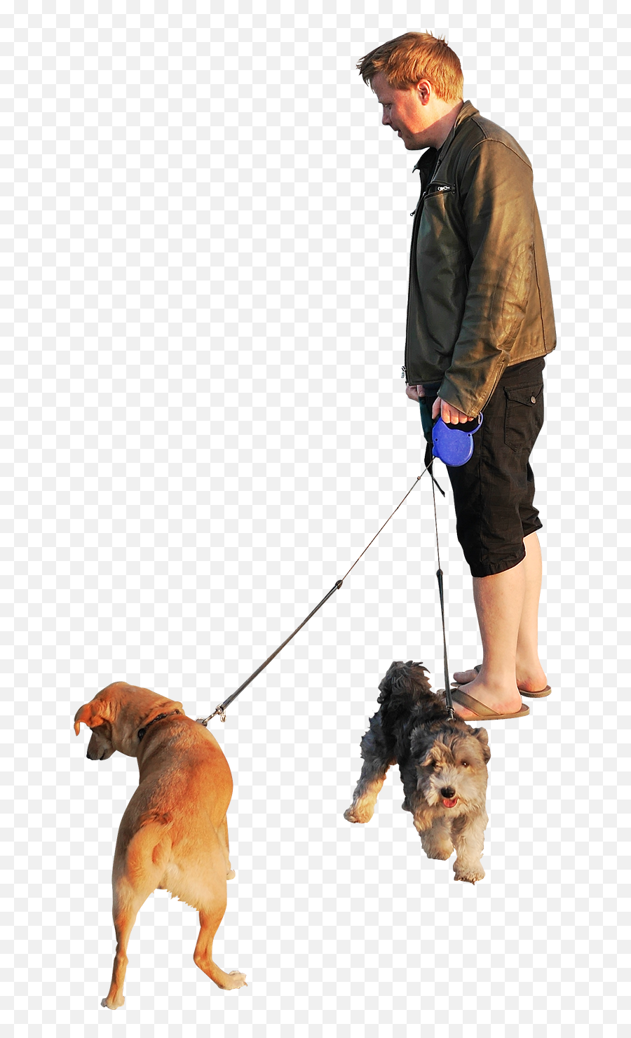 Dogs Beach Sunset Png Image - Person Walking Dog Png Emoji,Sunset Png