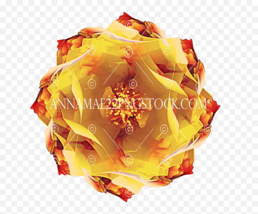 Abstract Circular Flower - Reds And Yellow Png Stock Photo 0306 Transparent Background Rose Emoji,Abstract Png