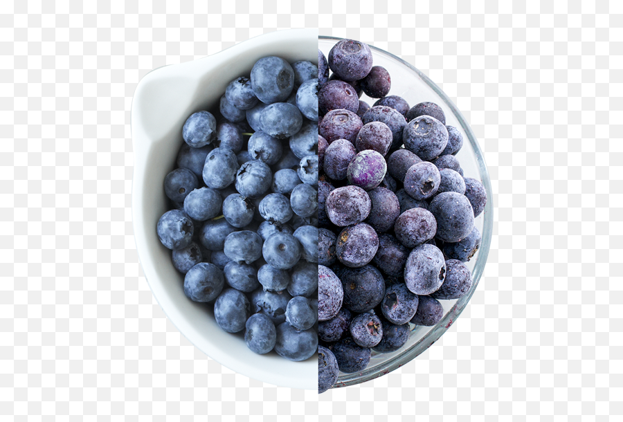 Download Fresh Or Frozen Blueberries - Blueberry Emoji,Blueberry Png