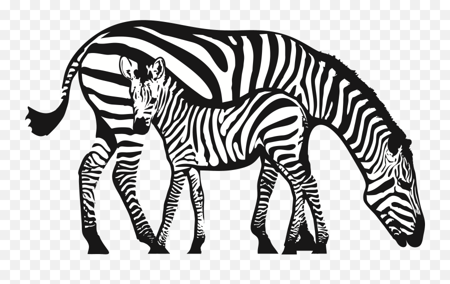 Baby Boy Zebra Clip Art - Zebra And Baby Zebra Clip Art Emoji,Zebra Clipart