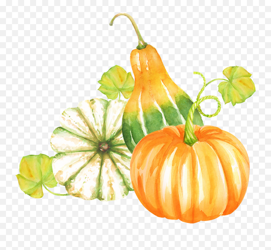 Watercolor Fall Harvest Watercolor Clip Art Pumpkin - Watercolor Transparent Fall Clipart Emoji,Forest Clipart