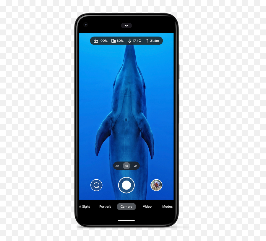 From The Seas To More Zzzs Your New Pixel Features Emoji,Transparent Wallpaper Camera