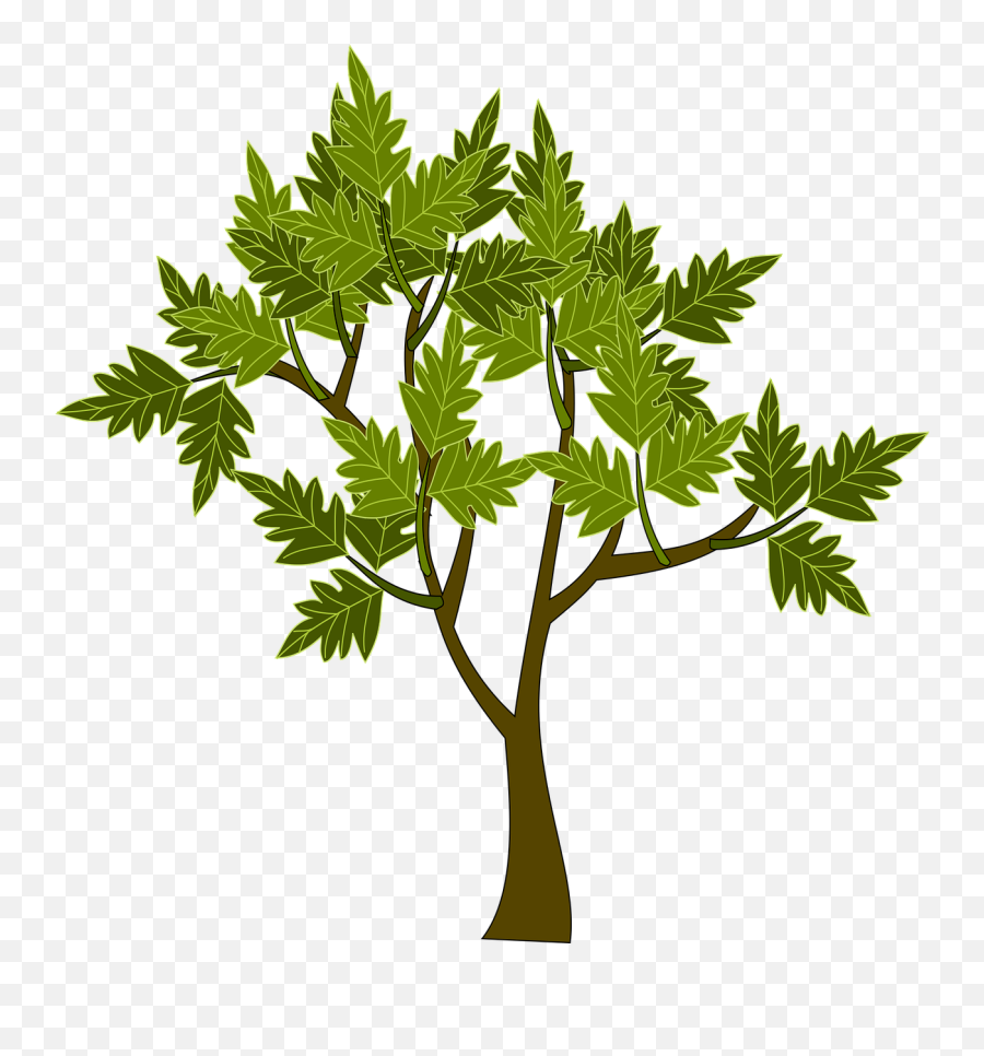 Tree Green Leaves Png Picpng - Gambar Pohon Dan Daun Emoji,Green Leaves Png