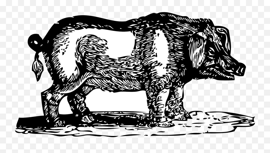 Hog Svg Vector Hog Clip Art - Svg Clipart Lesson Before Dying Hog Emoji,Hufflepuff Clipart