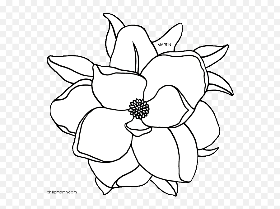 Louisiana State Flower - Magnolia Flower Clip Art Emoji,Louisiana Clipart
