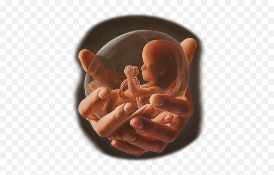 2 Abortion Emoji,Jesus Hands Png