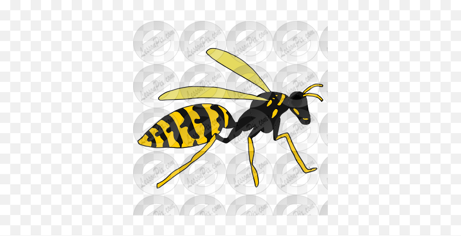 Wasp Picture For Classroom Therapy - European Hornet Emoji,Hornet Clipart
