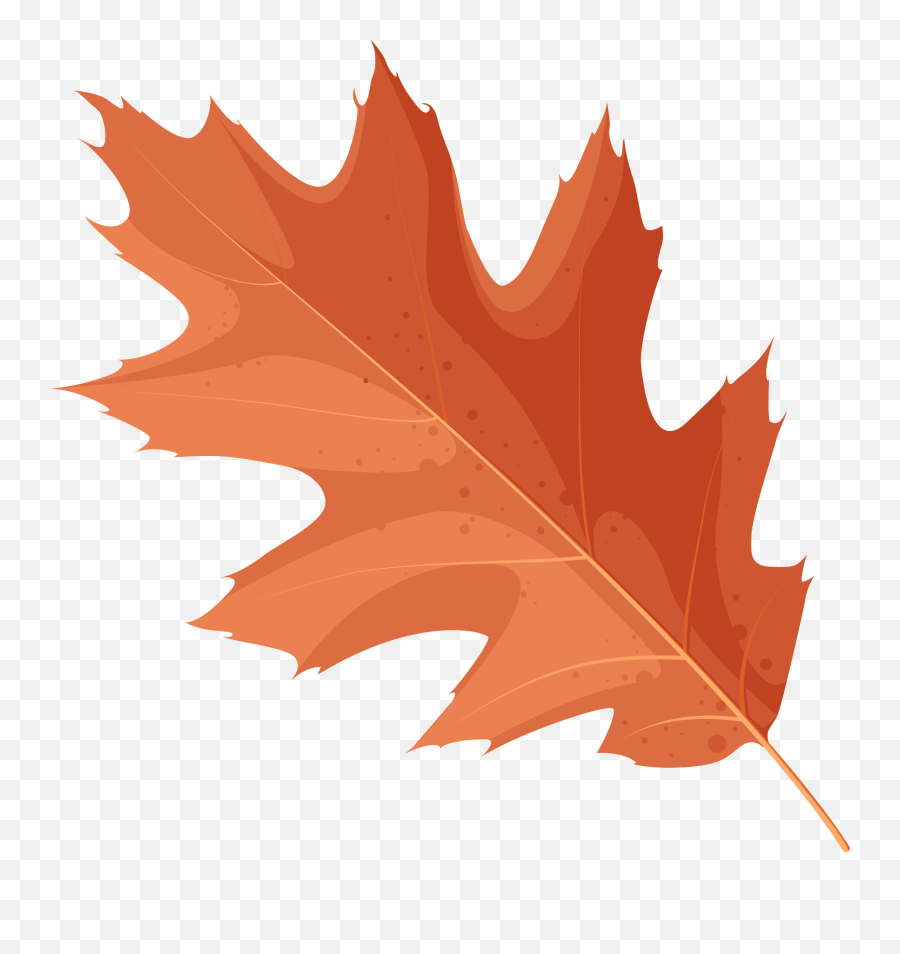 Northern Red Oak Red Leaf Clipart - Oak Leaf Green Clipart Emoji,Oak Leaf Clipart