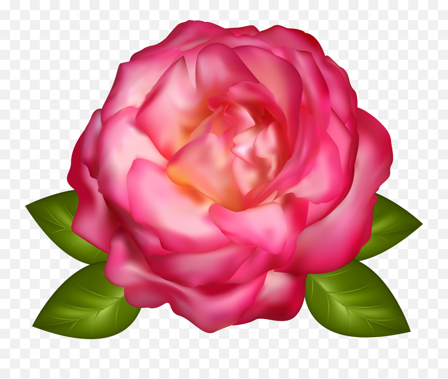 Roses - Beautiful Orange Rose Clipart Emoji,Rose Clipart