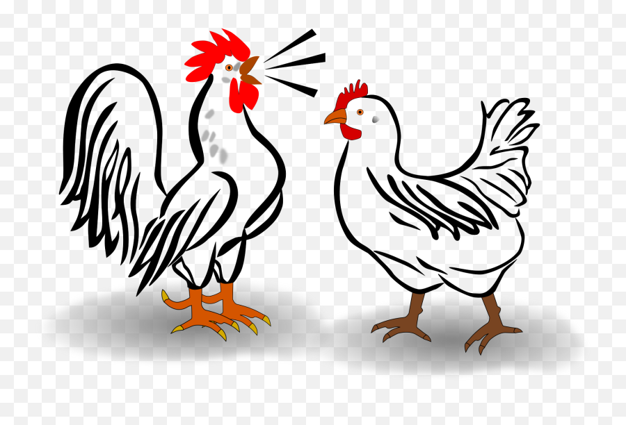 Free Chicken Vector Png Download Free Chicken Vector Png - Rooster And Chicken Clipart Emoji,Free Icon Png