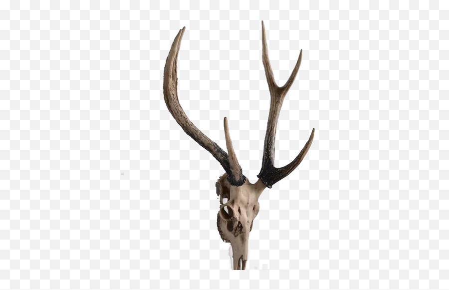 Three Hands Resin Deer Head Wall Decor Emoji,Deer Head Png