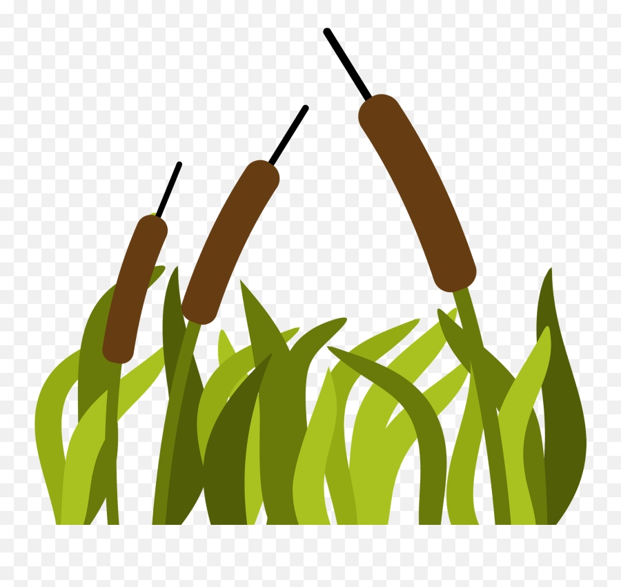 Vegetation Lake Clipart - Vertical Emoji,Lake Clipart