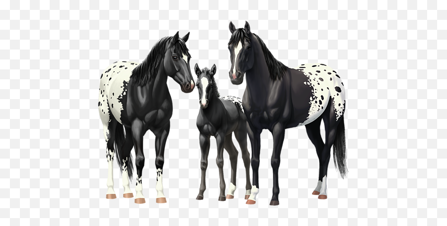 Black Appaloosa Horses In Winter Pasture Baby Onesie Emoji,Mustang Horse Png