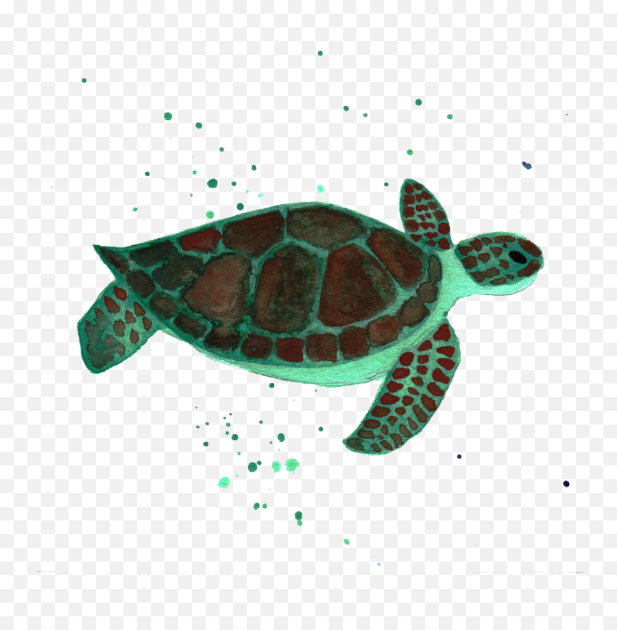 Sea Turtle Clip Art - Turtle Png Image And Clipart Turtle Emoji,Turtle Clipart Png