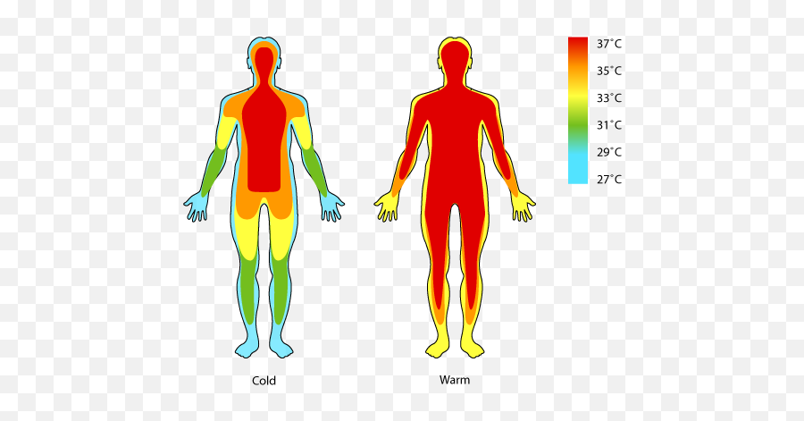 Aumento Da Temperatura Corporal - Clip Art Library Emoji,Parts Of The Body Clipart