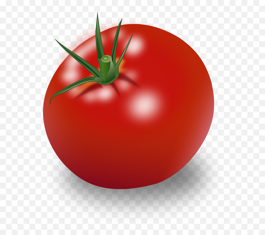 Tomato - Tomato Clipart Emoji,Tomato Png