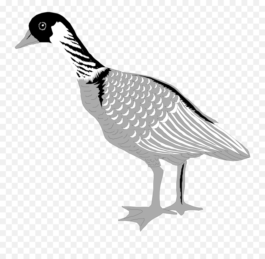 White Clipart Of The Goose Bird Free Image - Goose Emoji,Goose Clipart