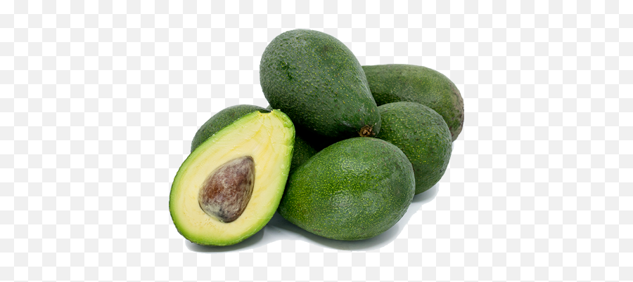 Download Fuerte Avocado - Full Size Png Image Pngkit Country Does Avocado Come Emoji,Avocado Png