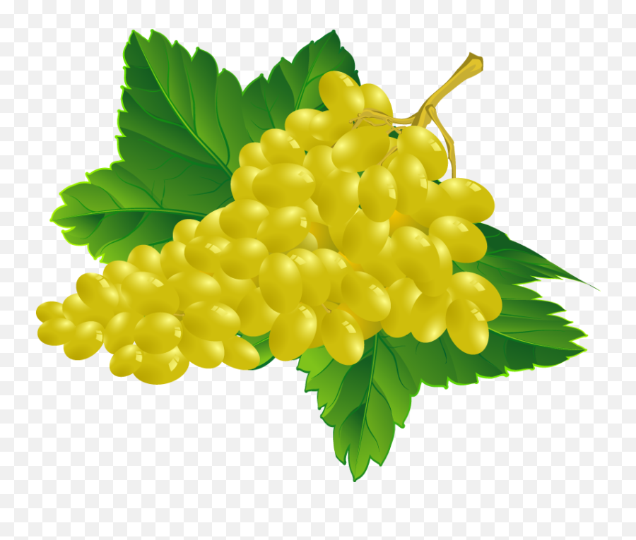 Grapes Fruits Png Transparent Images Clipart Icons - Grape Emoji,Grapes Transparent Background