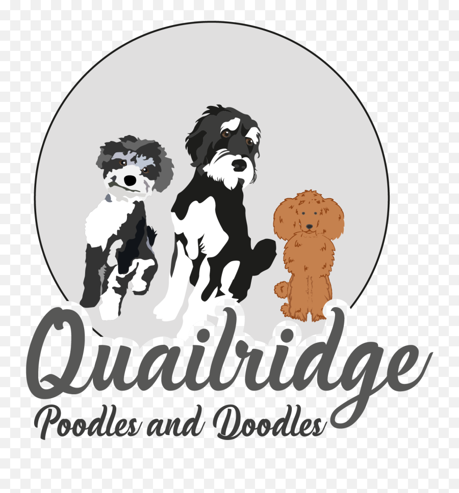 Breeder Of Poodles Doodles Goldendoodles Bernedoodles Golden Emoji,Transparent Doodles