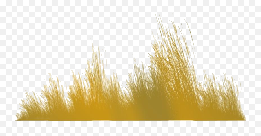 Transparent Tall Dead Grass Clipart Tall Dead Grass Png Emoji,Grass Clipart Transparent Background