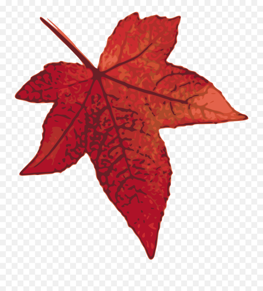 Clipart Leaves Maple Leaf Picture - Red Maple Leaf Cartoon Emoji,Maple Leaf Clipart