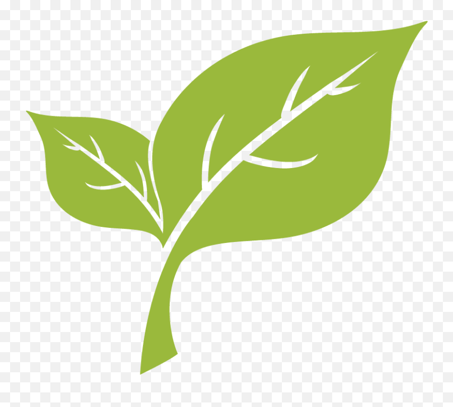 Leaf Removal - Light Green Leaf Png Transparent Cartoon Light Green Leaf Transparent Emoji,Green Leaves Png