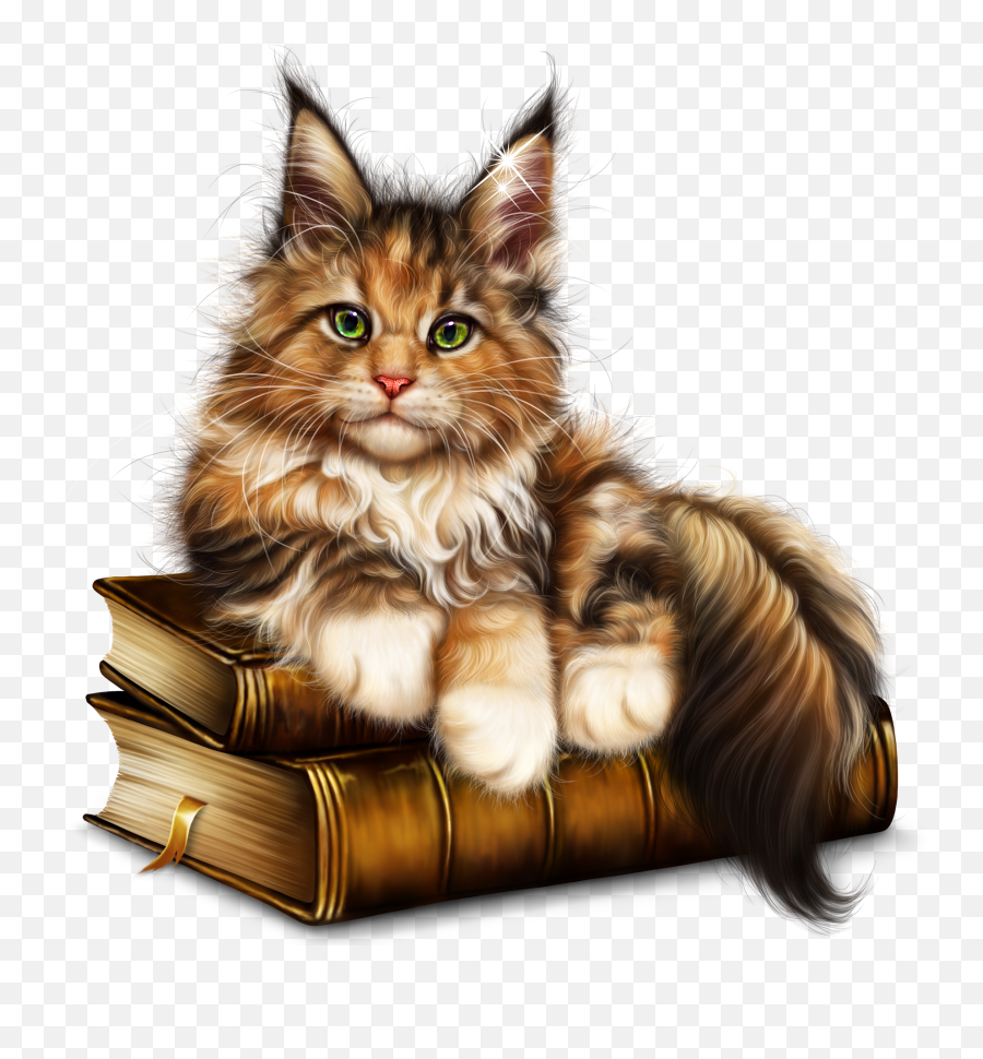Leprechaun - Kitty12 U2014 Imgbb In 2020 Cute Animals Cute Cat Emoji,Cute Cat Clipart