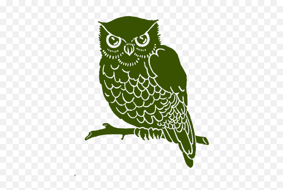 Green Owl Logo - Logodix Eastern Screech Owl Emoji,Owl Logo