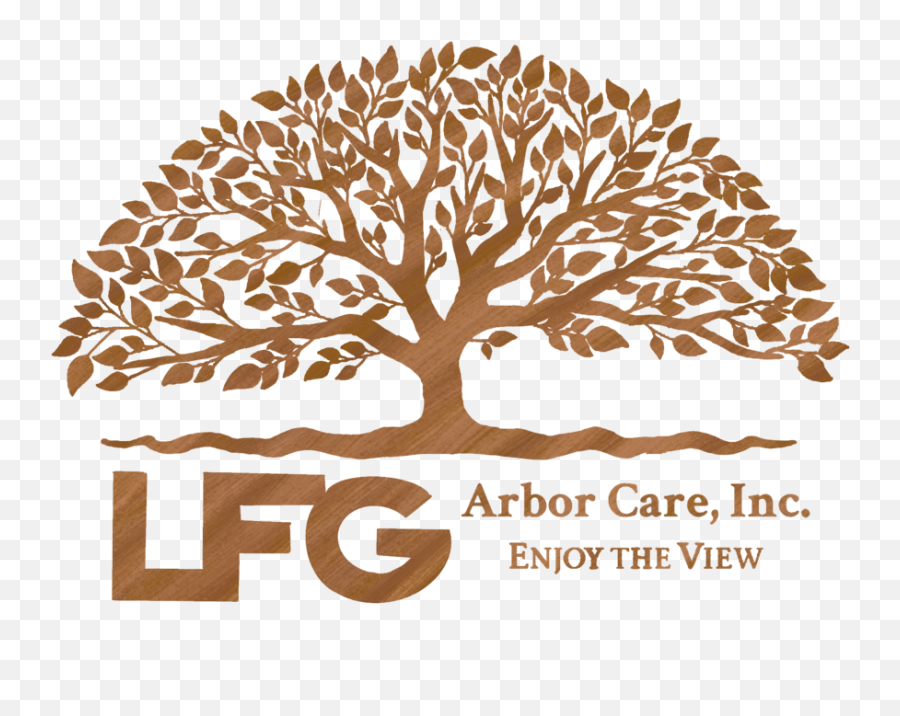 Lfg Arbor Care Reviews - Sticker Arbre De Vie Emoji,Angie's List Logo