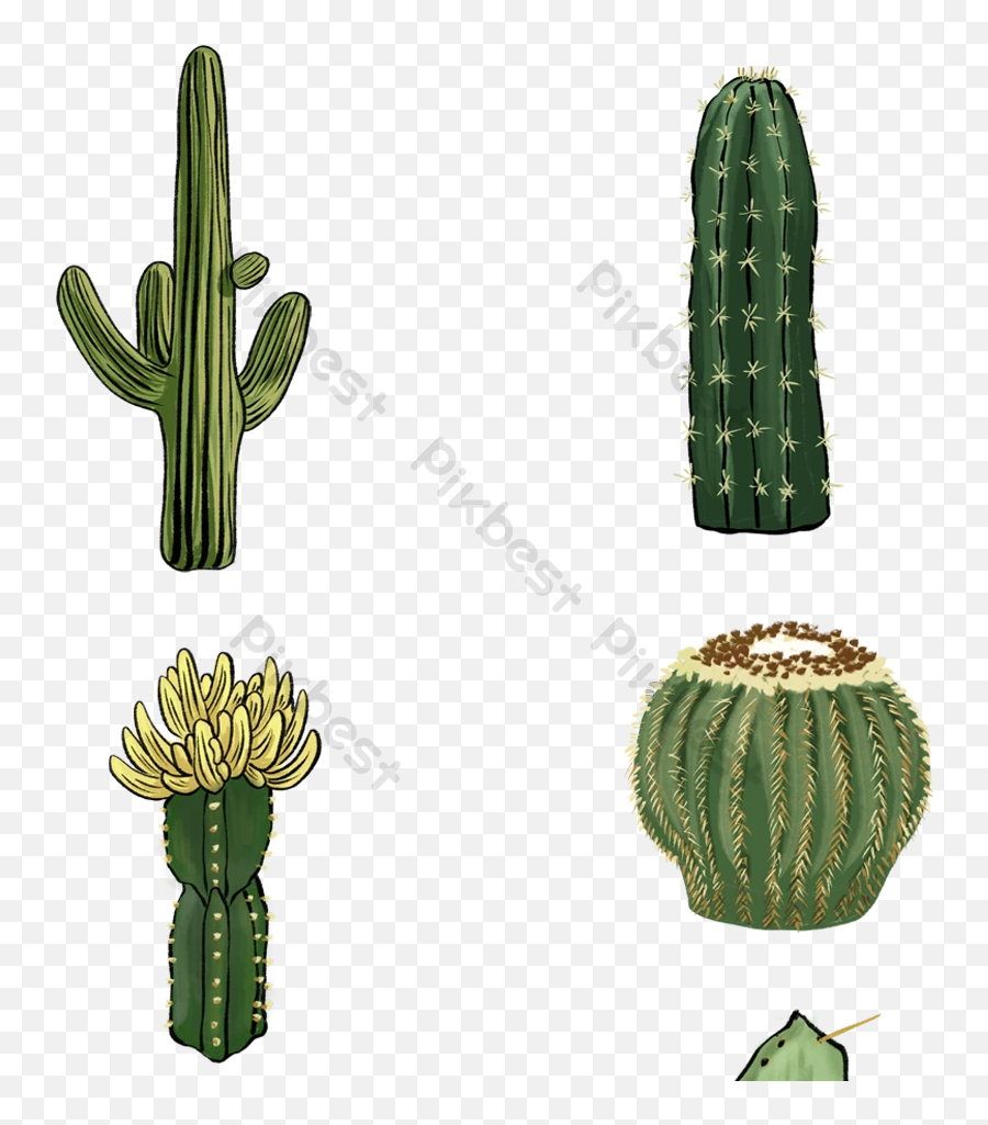 Drawing Cactus Vector Design Png Images Psd Free Download Emoji,Watercolor Cactus Png