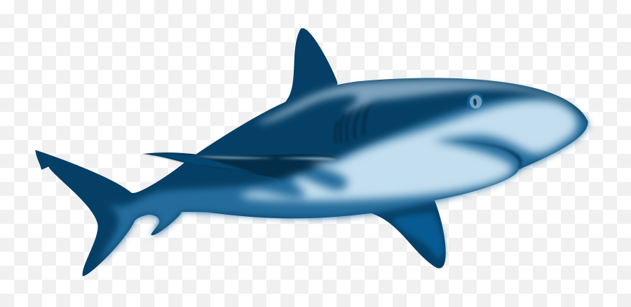 Download Hd Water Shark Blue Danger Jaws Ocean Sea Emoji,Ocean Water Clipart Black And White