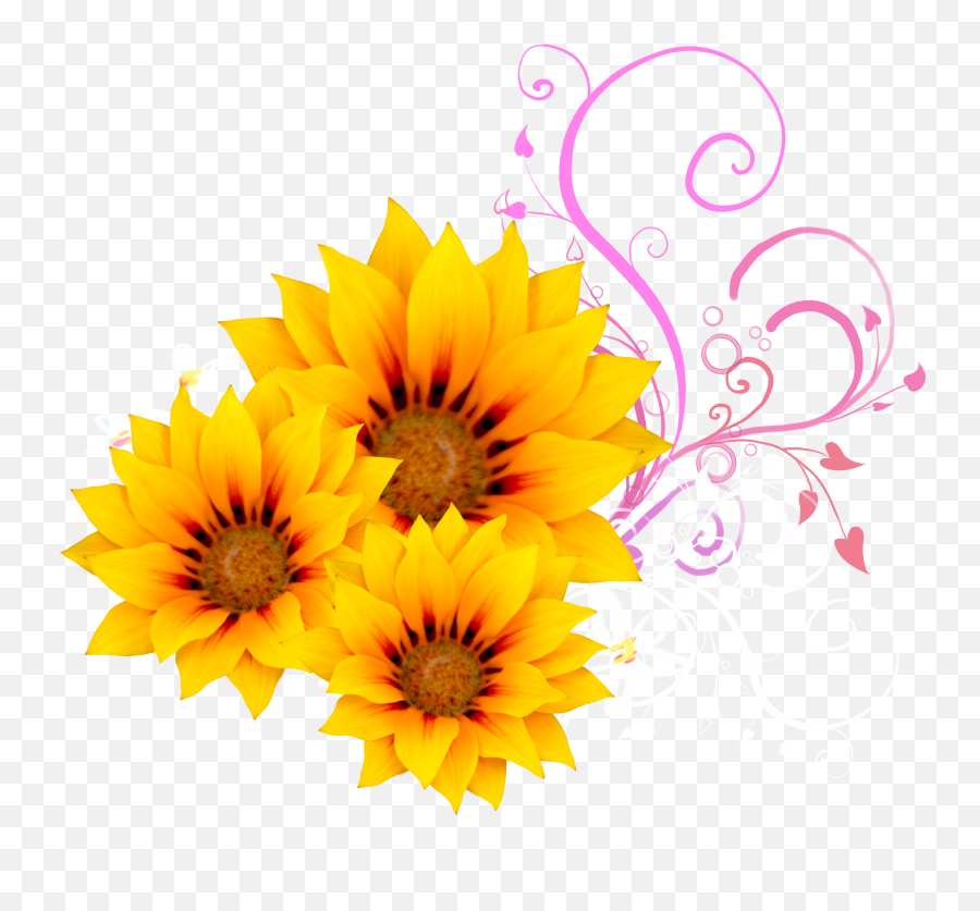 Download Watercolor Sunflower Png - Decorative Emoji,Sunflower Png