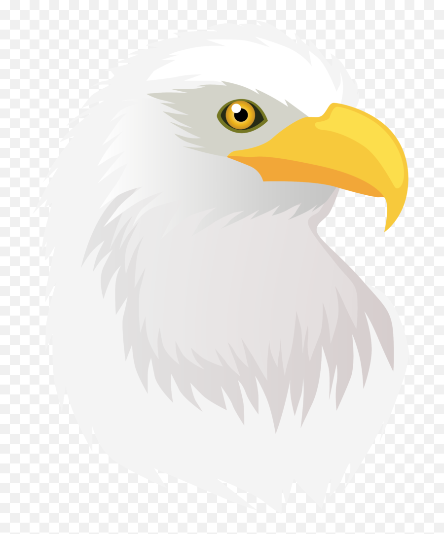 Bald Eagle Head Clipart 6 Free Frog - Eagle Png Download Clipart Eagle Head Transparent Emoji,Bald Eagle Png