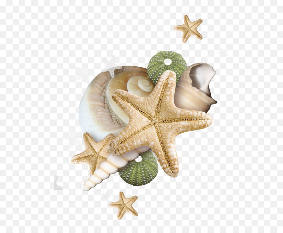 Hd Starfish Clipart Beach Clipart Beac 393045 - Png Accesorios De Mar Png Emoji,Beach Clipart