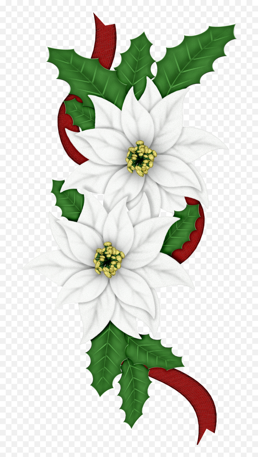 Edelweiss Png - Clip Art Of Christmas Flowers Transparent Christmas Edelweiss Emoji,Flowers Transparent