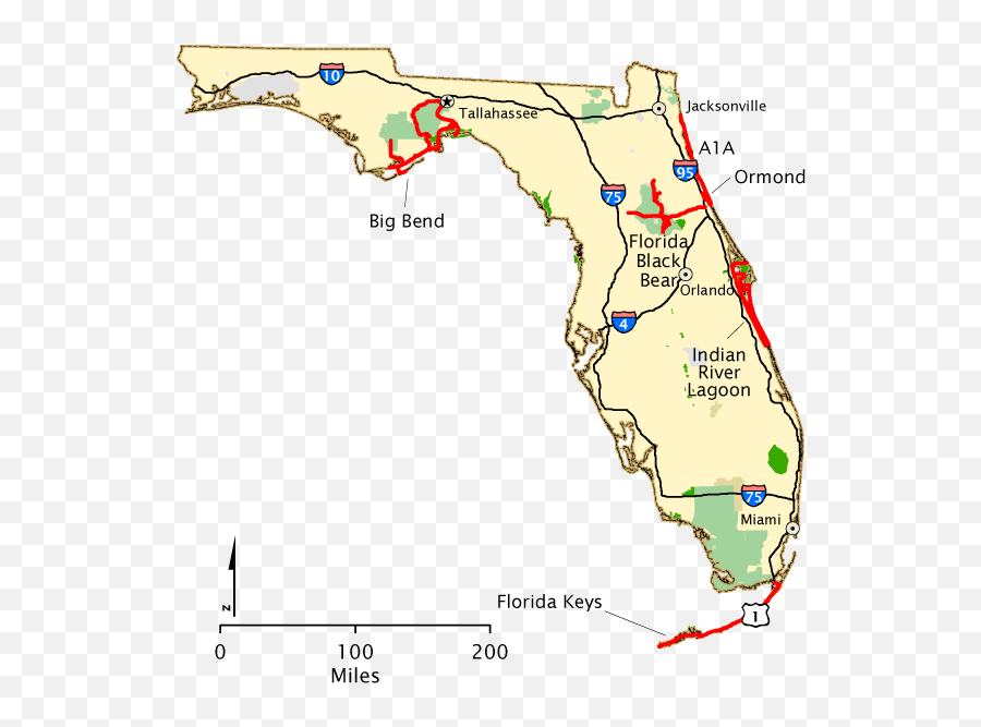 Florida Emoji,Florida Map Png