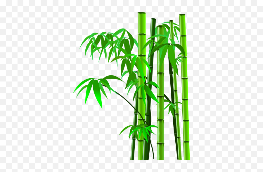 Png Transparent Image And Clipart - Cartoon Bamboo Tree Emoji,Bamboo Clipart