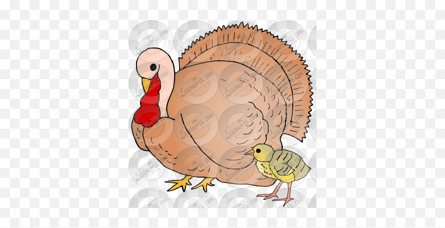 Turkey Picture For Classroom Therapy - Domestic Turkey Emoji,Clipart Turkey