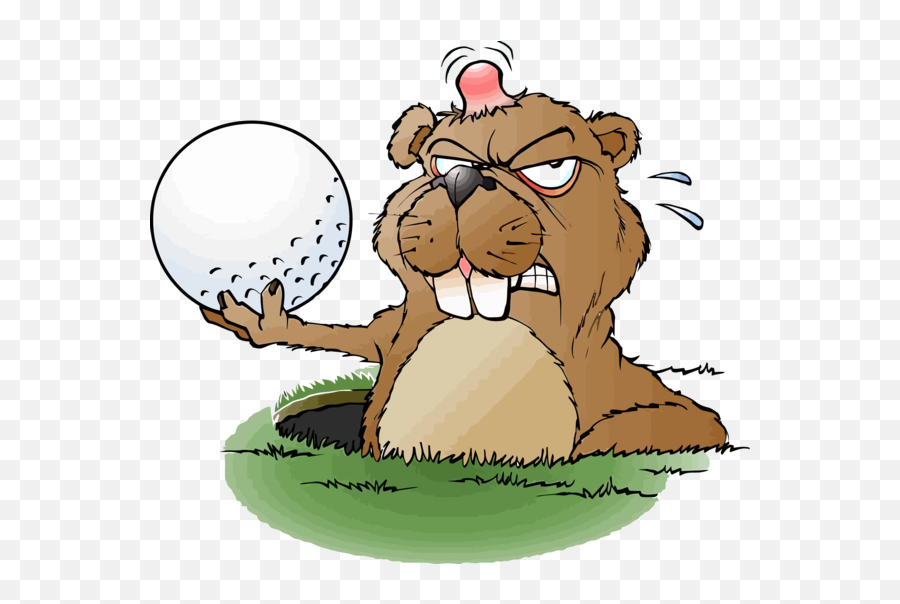 Download Groundhog Day Cartoon For Resolutions Hq Png Image Emoji,Groundhogs Day Clipart