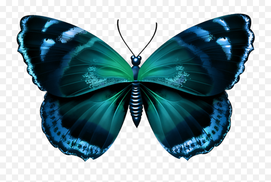 Download Blue Butterfly Png - Blue Butterfly Transparent Emoji,Butterfly Transparent Png