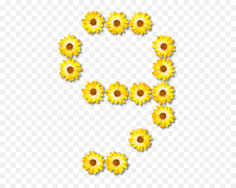 Download Free Floral Number Free Clipart Hd Icon Favicon Emoji,Marigolds Clipart