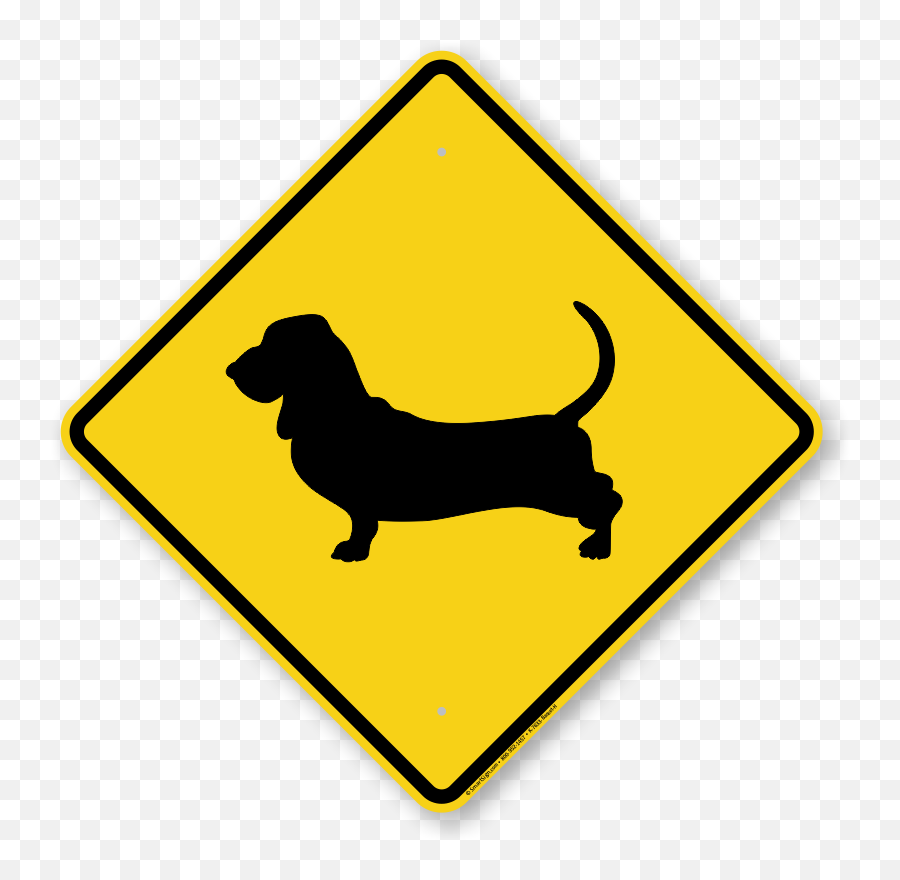 Basset Hound Lhasa Apso Guard Dog Boxer - Golden Glare Png Emoji,Hound Dog Clipart